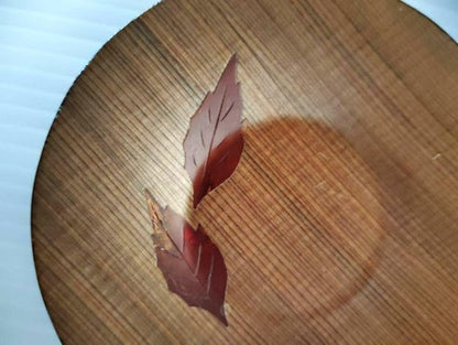 Kabazaiku Birch Bark Coasters Set Of 4