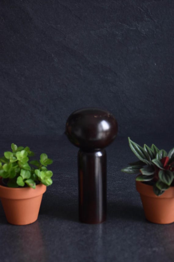 Japanese Kokeshi Doll centered between two small potted plants on a dark background