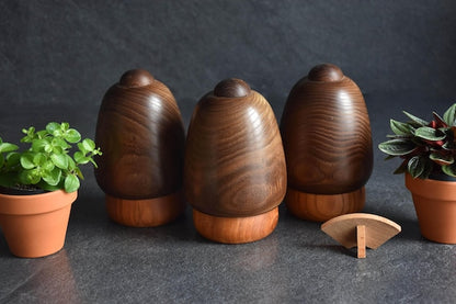 Daisuke Takeda Sho-Chiku-Bai Kokeshi Set