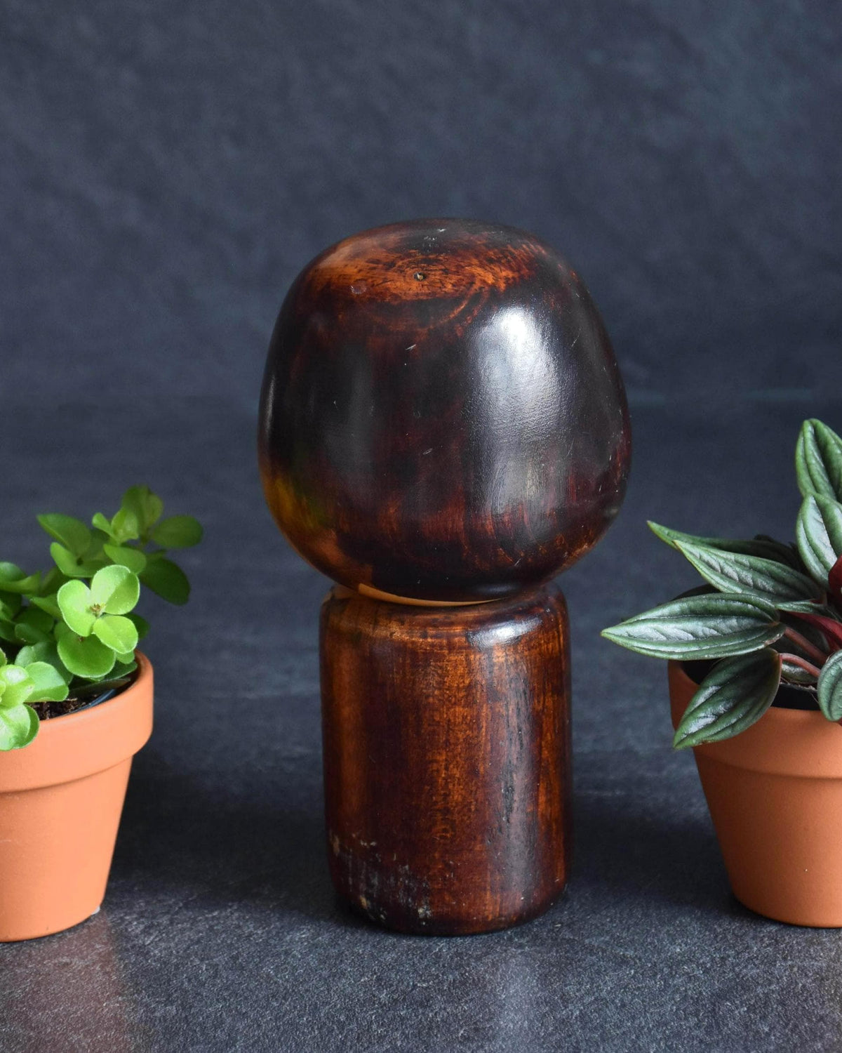 Mitsuo sosaku kokeshi doll full back view flanked by two small potted plants