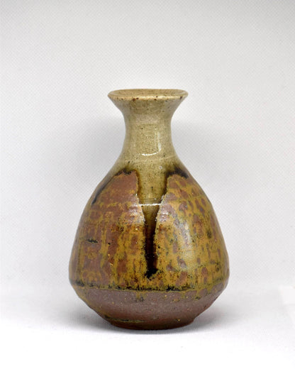 Bizen Style Iron-Rich Stoneware Tokkuri Sake Bottle viewed from the back