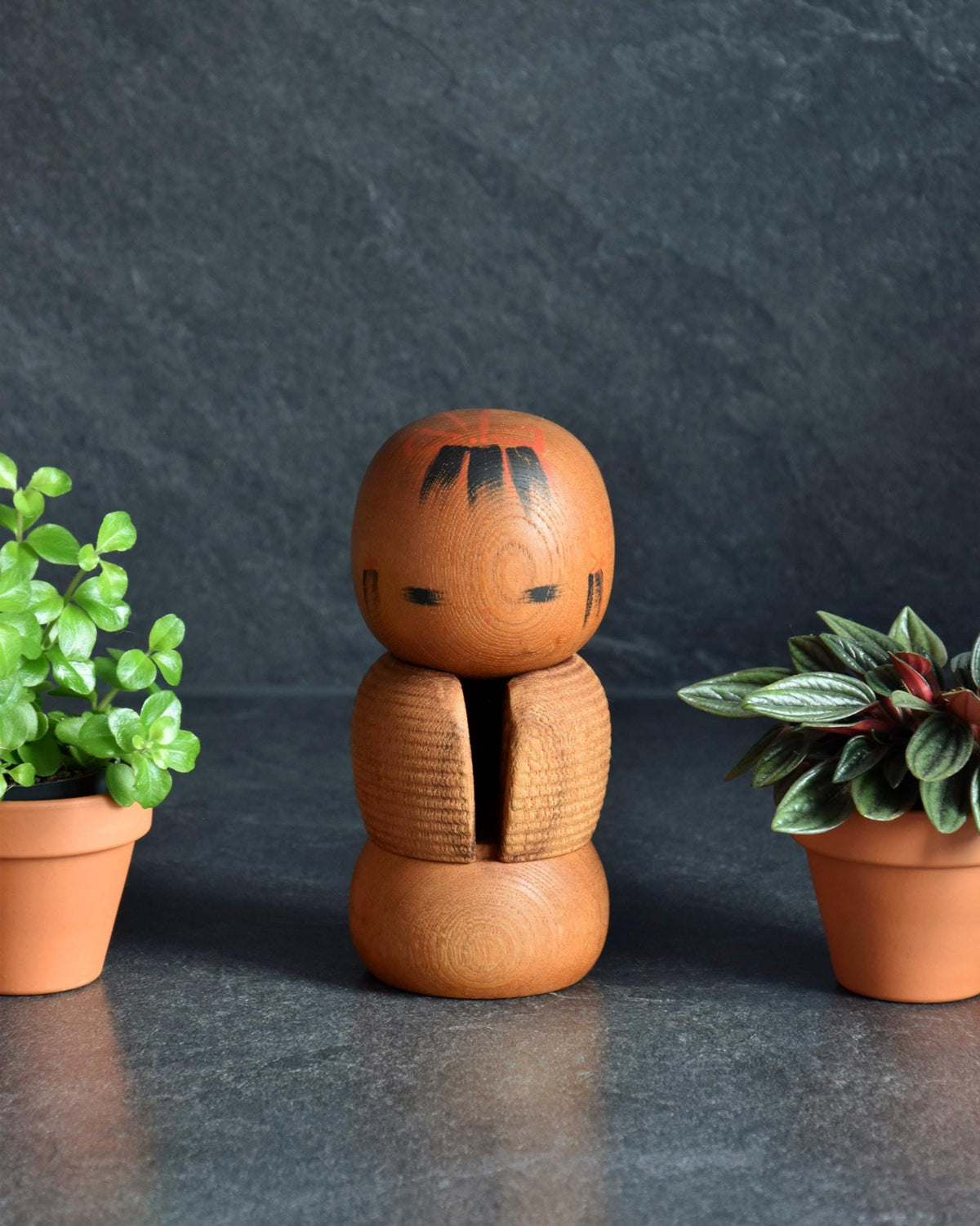 Aida Seihou Creative Kokeshi Michinoku Snow Country wooden doll centered between small potted plants