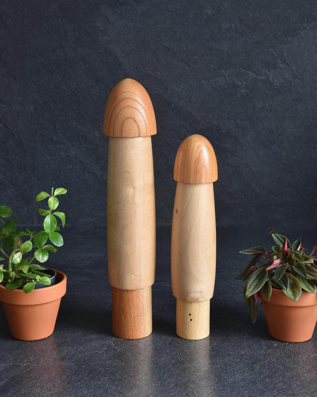 Shido Shozan kokeshi pair shown from the back view